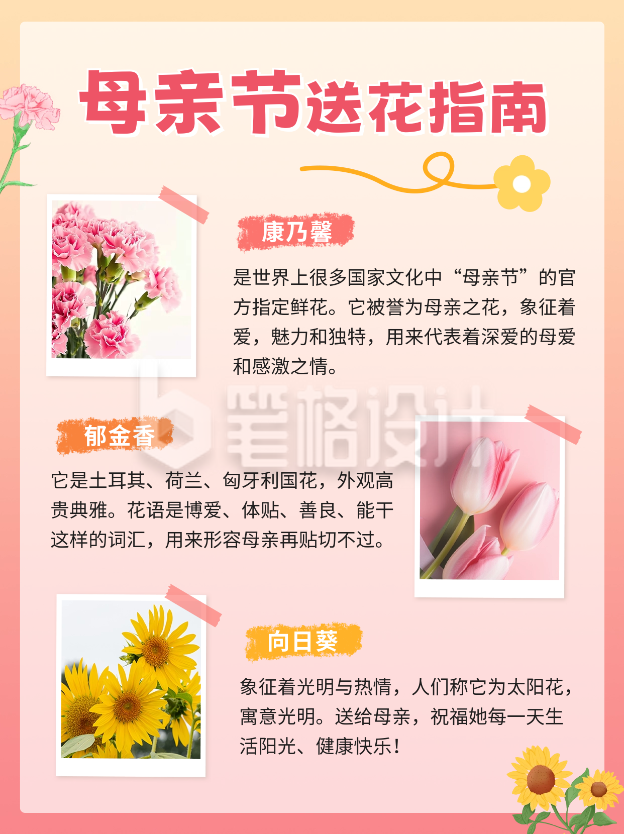 母亲节送花指南小红书封面