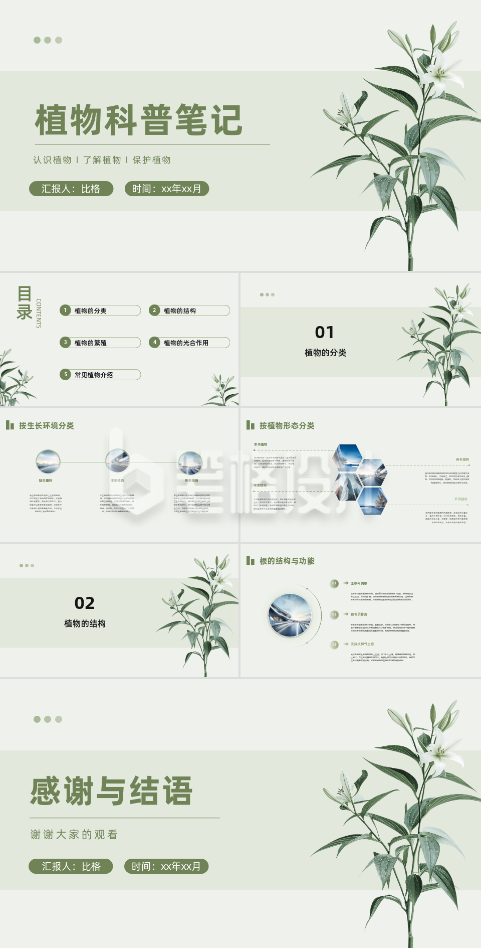 植物实景植物科普笔记PPT