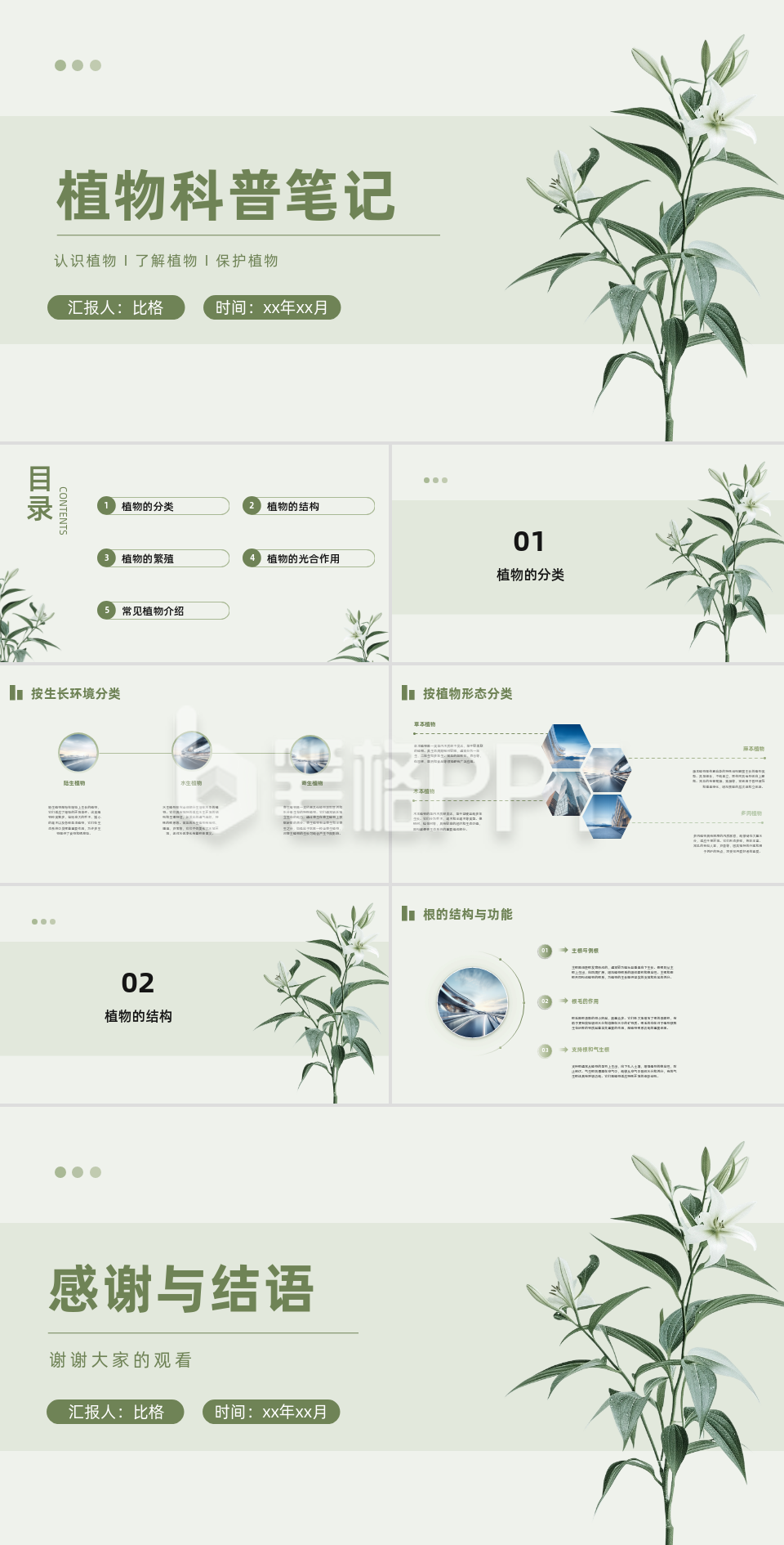 植物实景植物科普笔记PPT