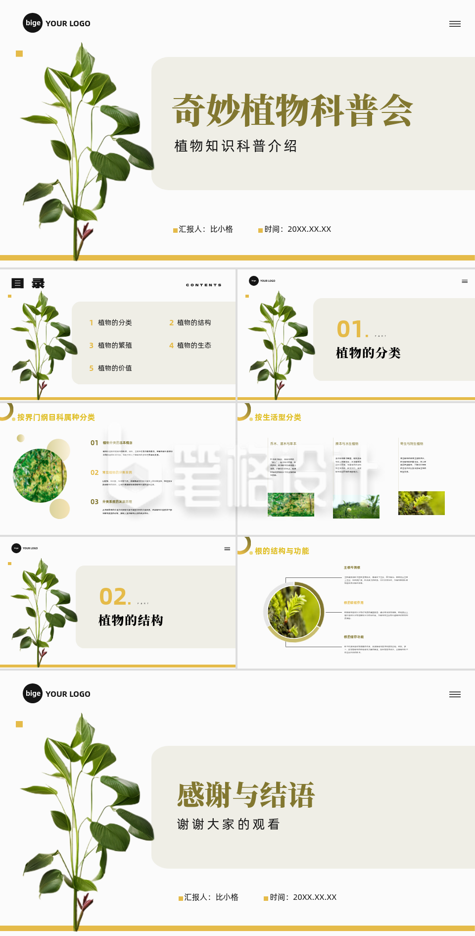 植物实景奇妙植物科普会PPT