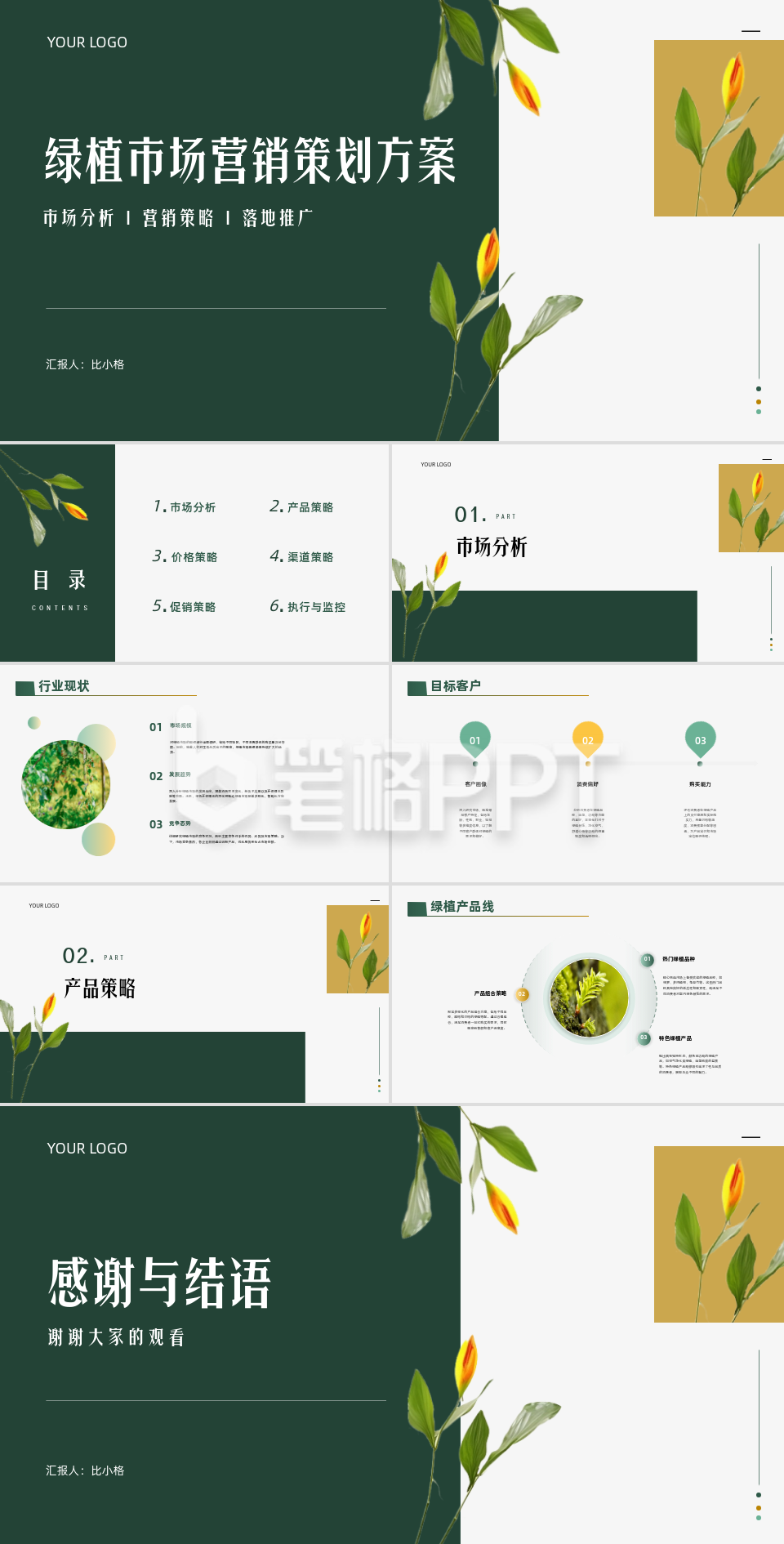 植物实景绿植市场营销策划方案PPT