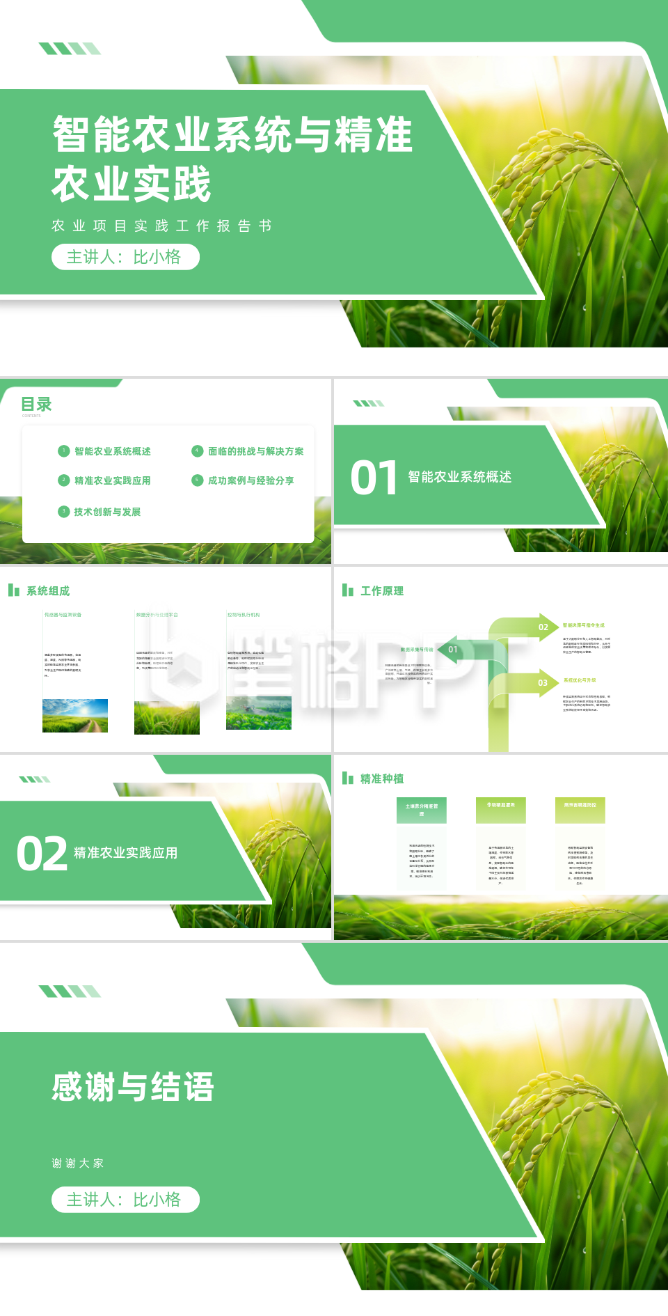 智能农业系统与实践项目汇报PPT