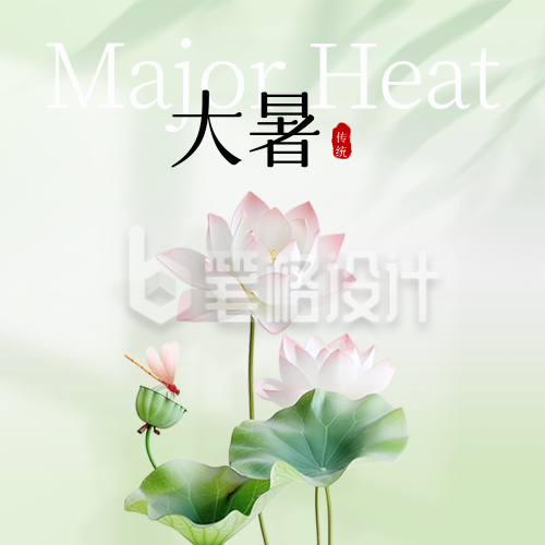 大暑节气荷花封面次图 大暑节气荷花封面次图