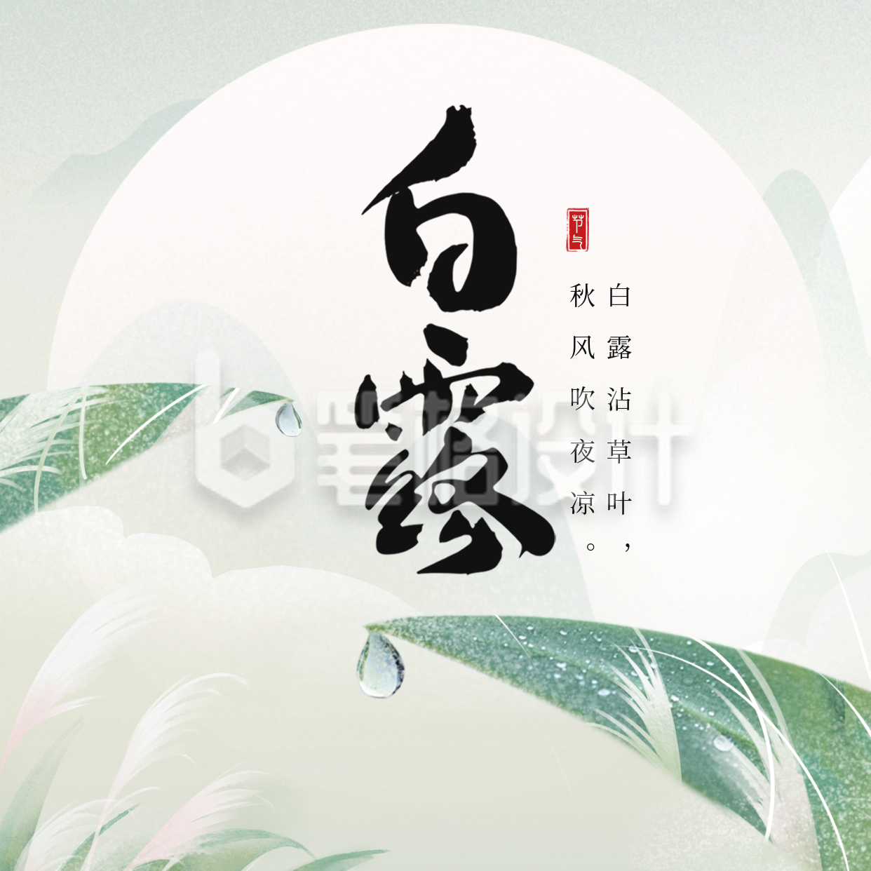 手绘绿色白露节气祝福方形海报