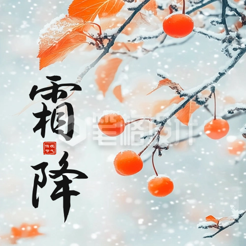 霜降实景祝福公众号次图