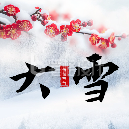 大雪节气祝福实景宣传公众号次图