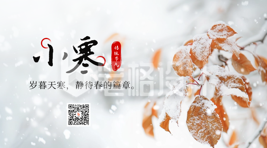 小寒节气冬季霜雪树叶实景二维码