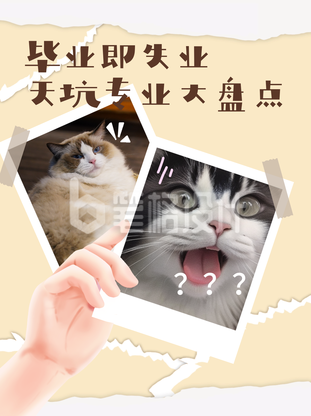 专业避坑大盘点小红书封面 专业避坑大盘点小红书封面