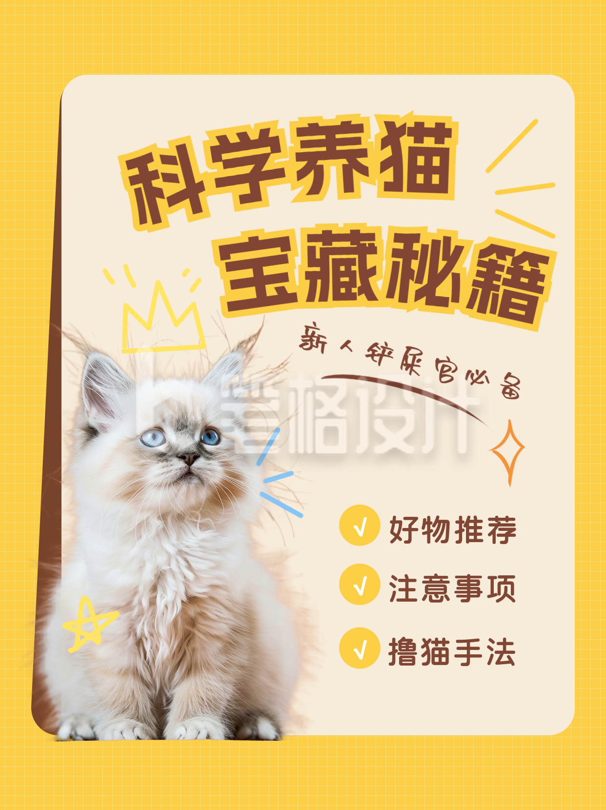 萌宠养猫经验分享小红书封面