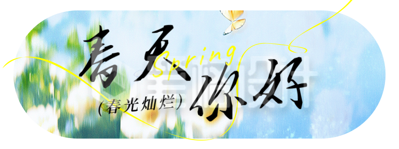 春天你好小清新风景日签胶囊Banner