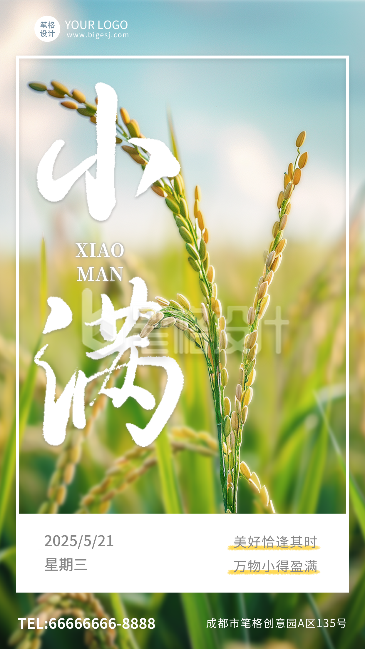 小满节气简约手机宣传海报 小满节气简约手机宣传海报