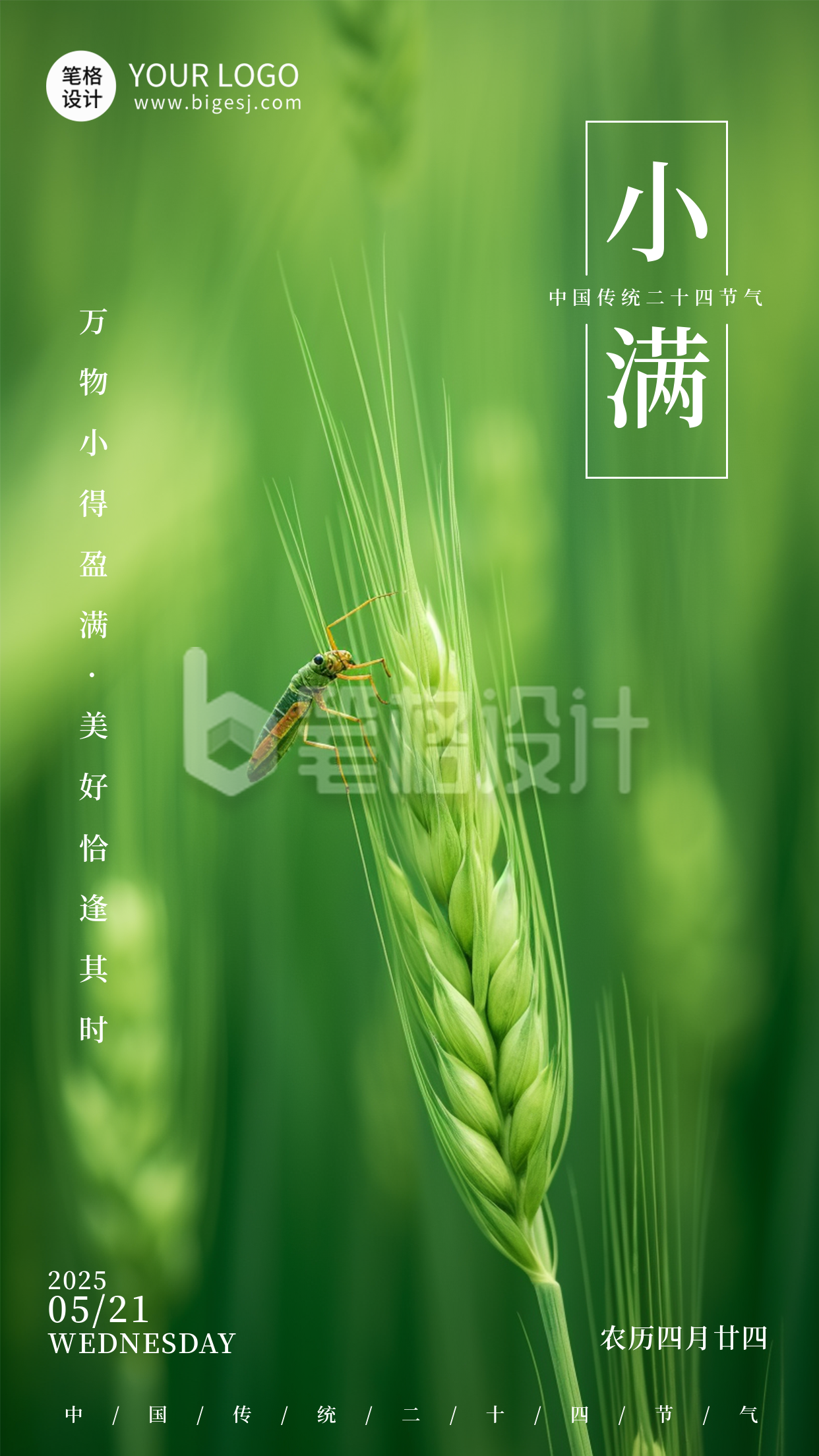 小满节气简约手机宣传海报