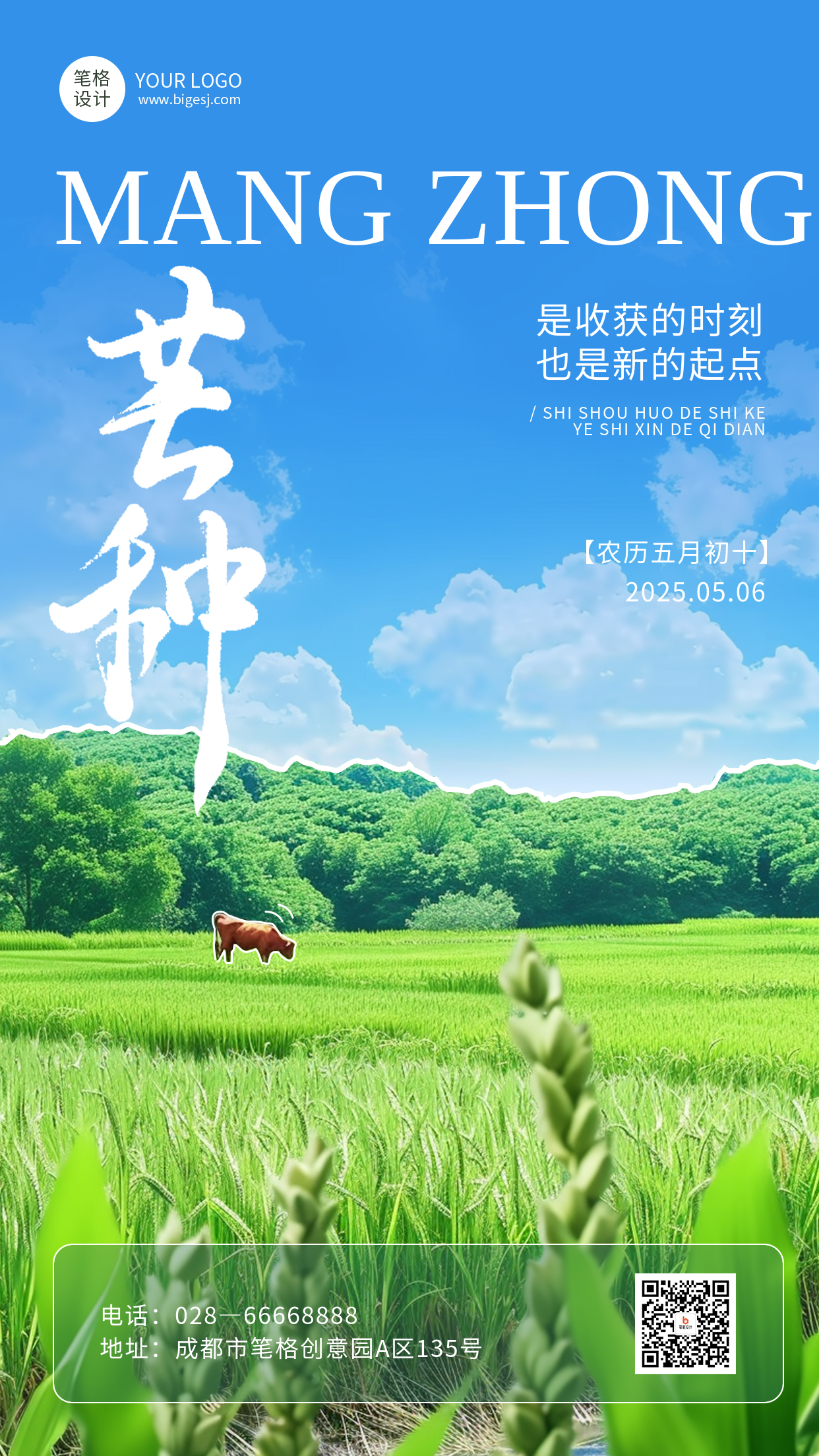 芒种节气简约手机宣传海报