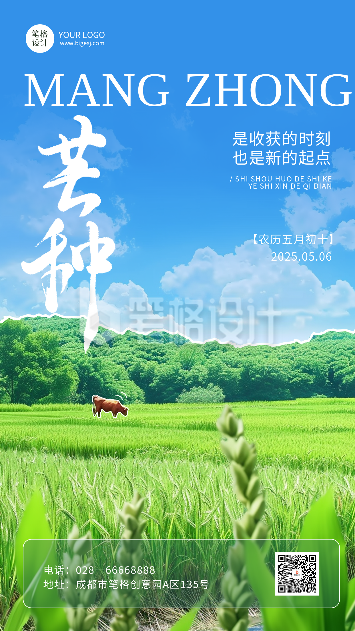 芒种节气简约手机宣传海报