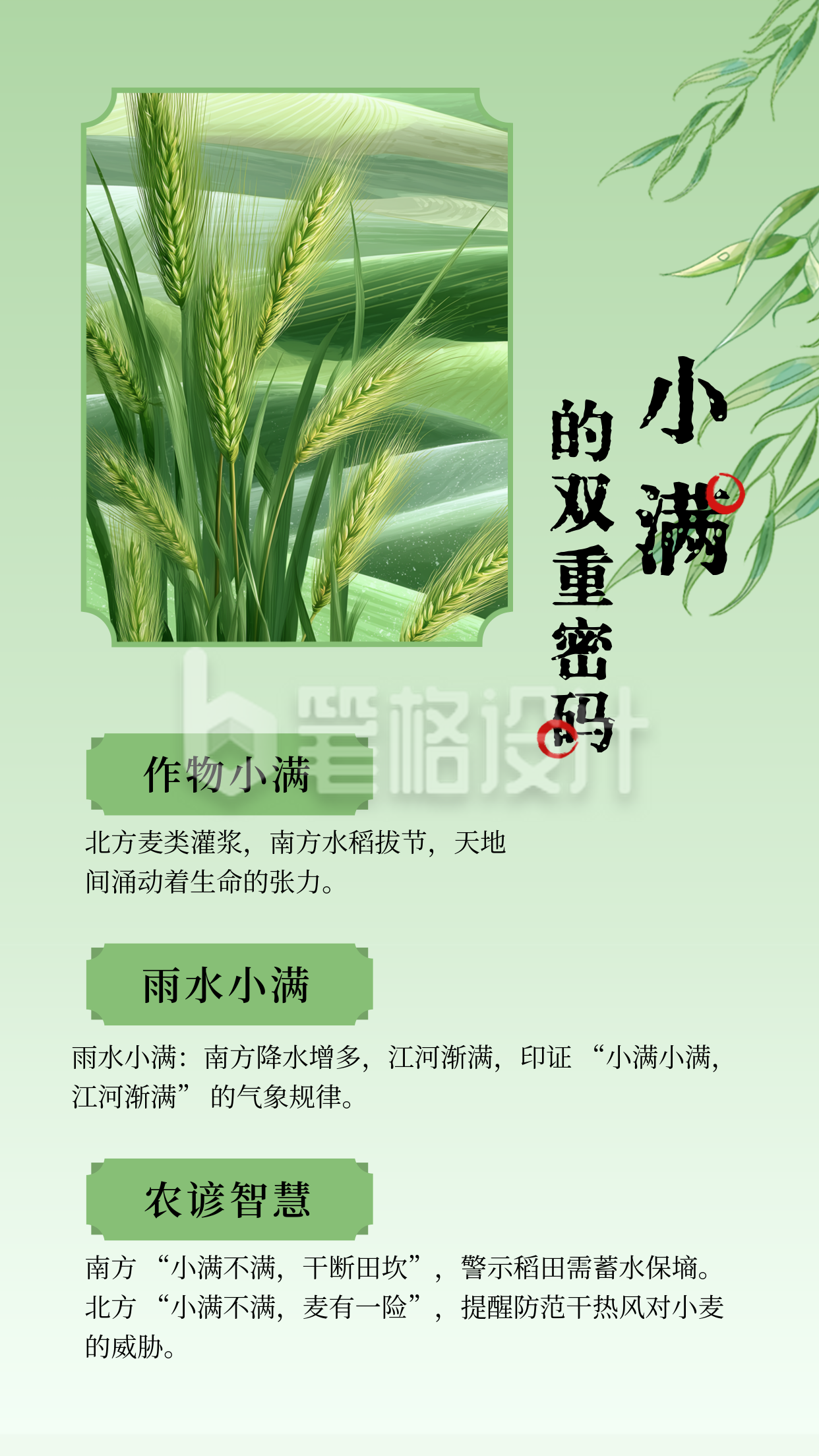 小满节气知识科普宣传竖版配图