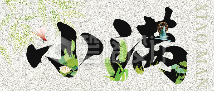 小满节气文字祝福公众号首图