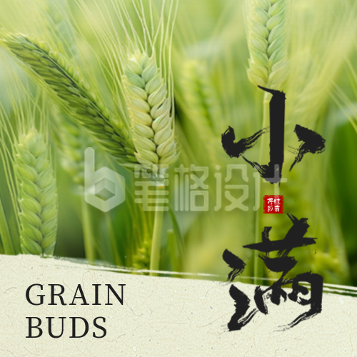 小满实景祝福公众号次图