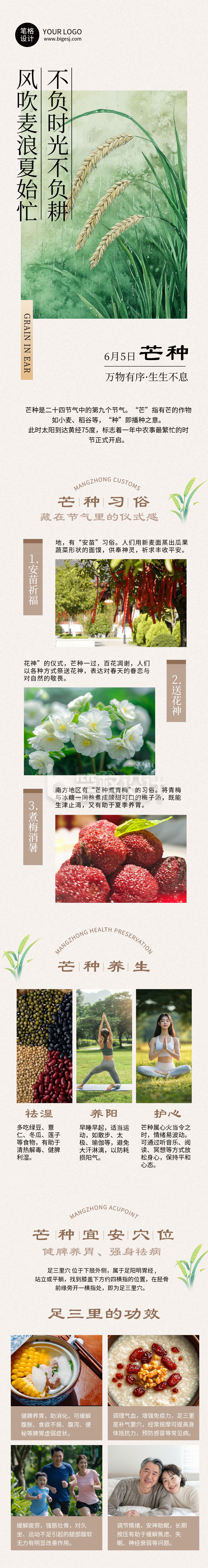 芒种节气习俗科普简约祝福公众号长图 芒种节气习俗科普简约祝福公众号长图