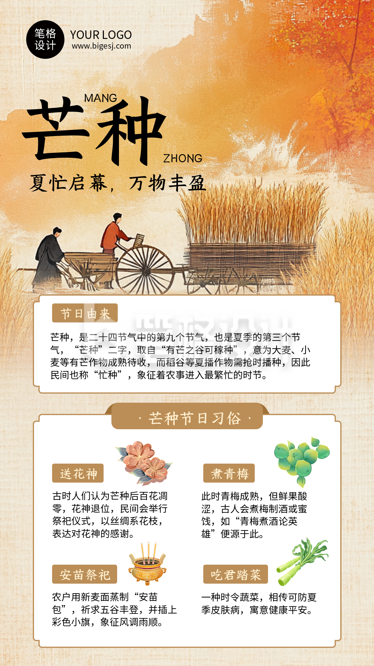 芒种节气习俗科普简约海报