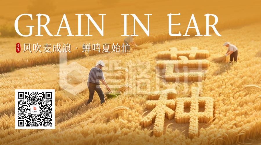 芒种节气创意祝福二维码