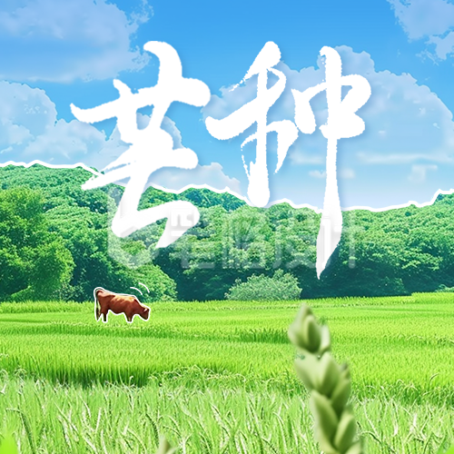 芒种节气祝福实景宣传公众号次图