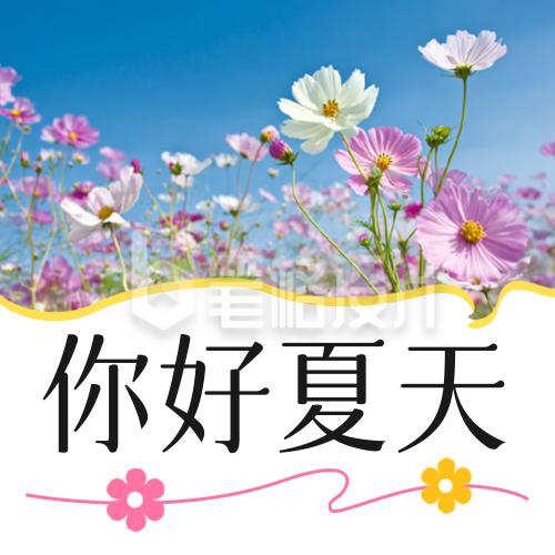 你好夏天实景文艺日签祝福公众号次图