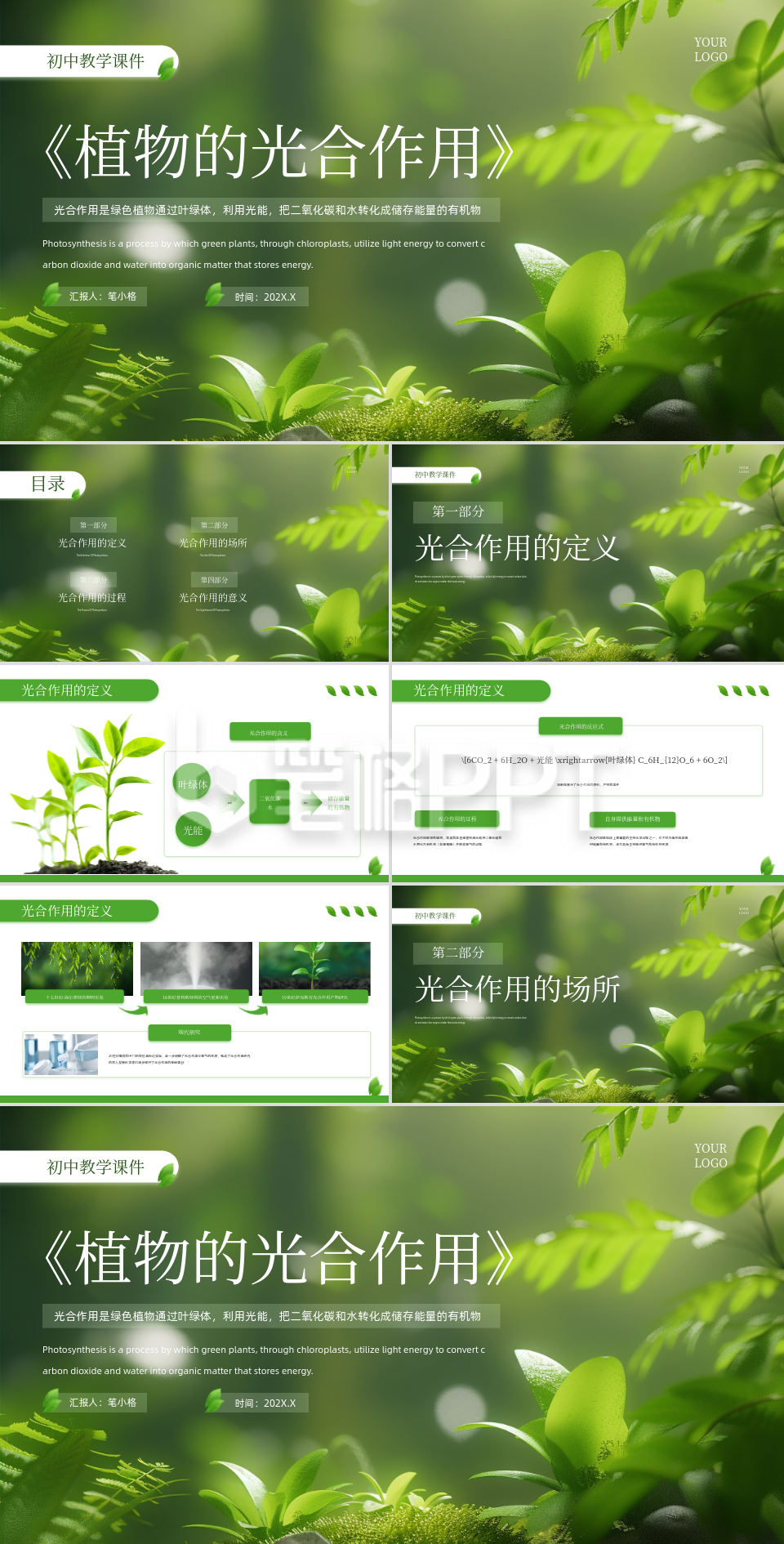 绿色清新风植物的光合作用PPT模板 绿色清新风植物的光合作用PPT模板
