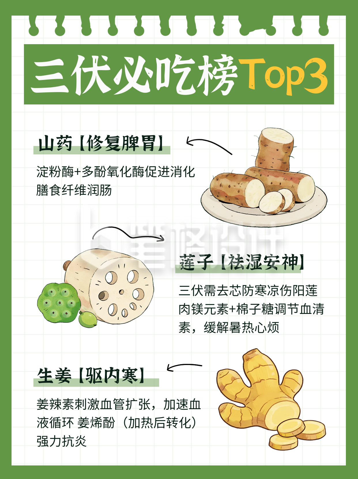 三伏天养生美食指南宣传小红书封面 三伏天养生美食指南宣传小红书封面