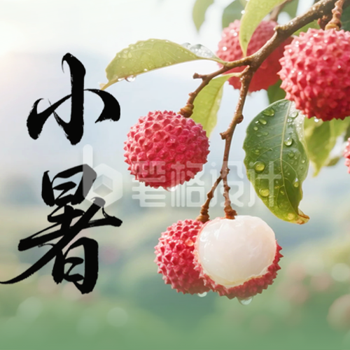 小暑节气实景祝福公众号次图