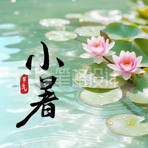 小暑节气荷花风景实景封面次图