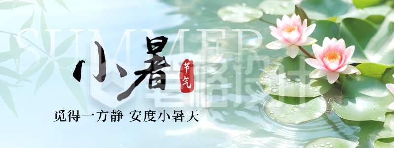 小暑节气荷花风景实景直播物料