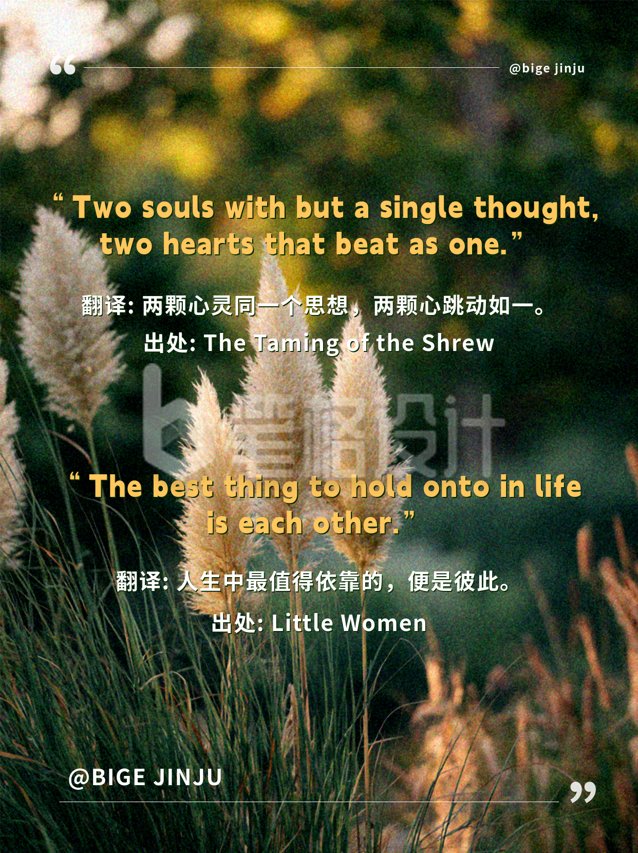 文艺秋季情绪风景小红书封面 文艺秋季情绪风景小红书封面