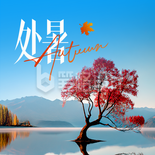 处暑节气实景宣传封面次图