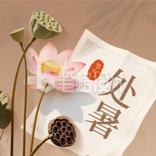 处暑节气实景荷花封面次图