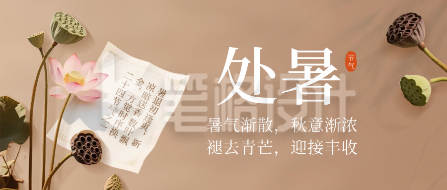 处暑节气荷花实景封面首图