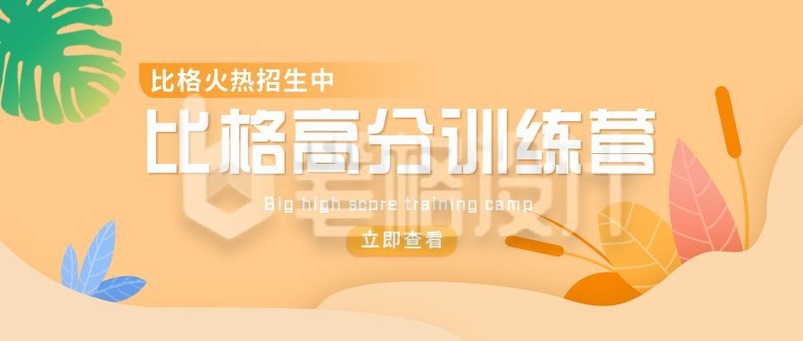 黄色教育比格高分训练营公众号首图