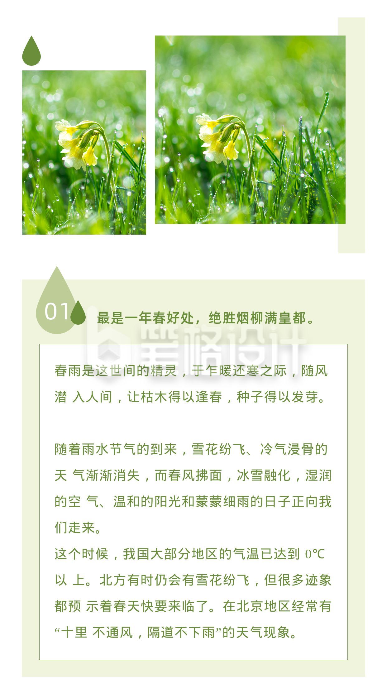 简约雨水二十四节气春天竖版配图