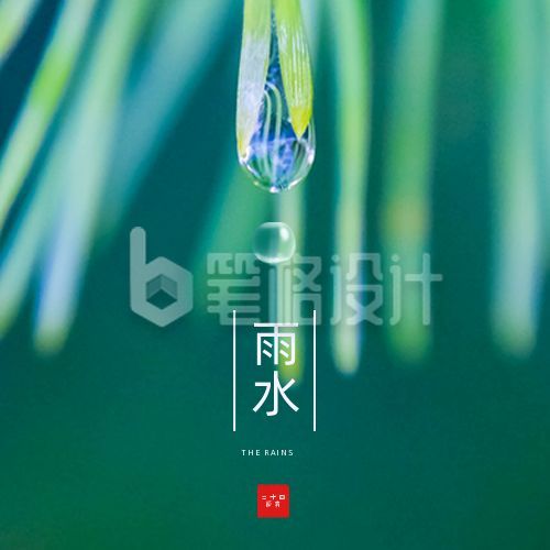 雨水节气实景水滴清新公众号次图