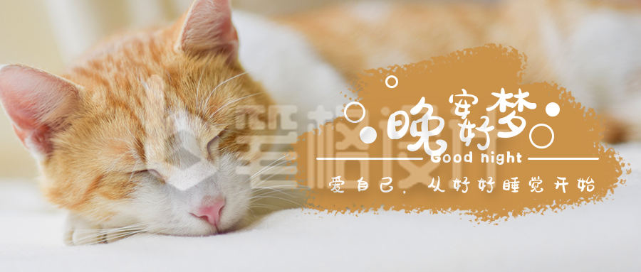 晚安好梦可爱猫咪萌宠日签公众号首图