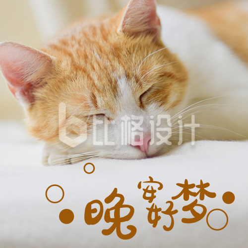 晚安好梦可爱猫咪萌宠日签公众号次图