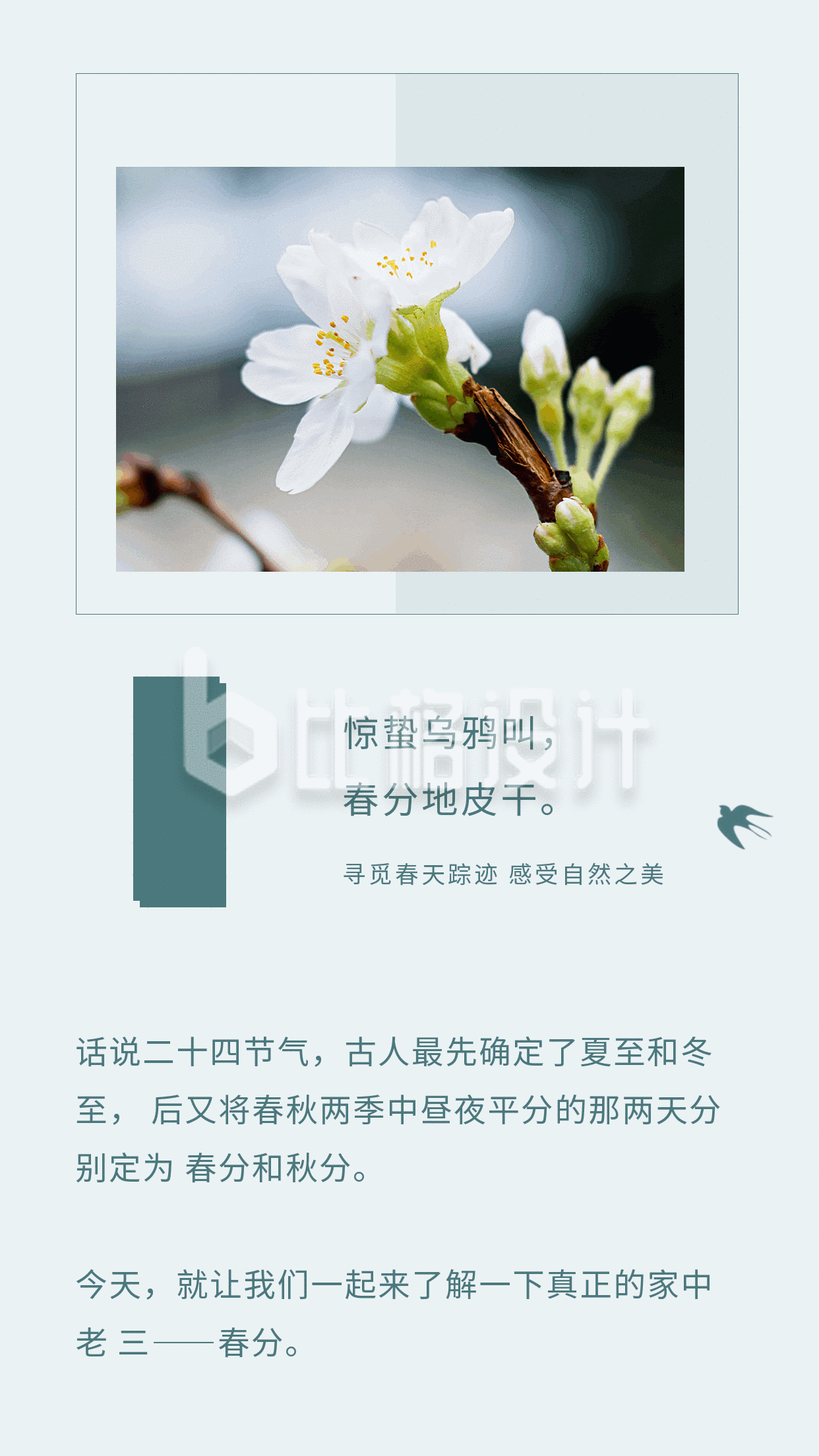 中国风燕子二十四节气春分动态竖版配图