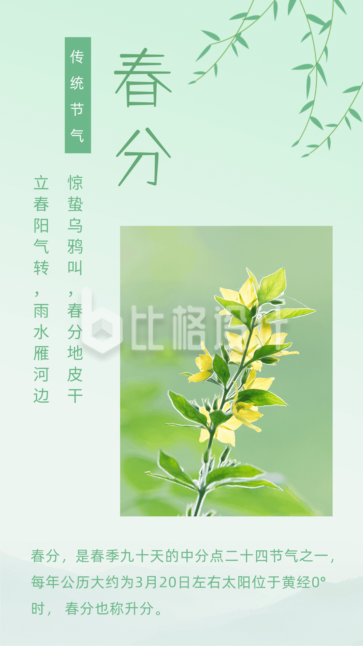 柳树中国传统二十四节气春分春天动态竖版配图