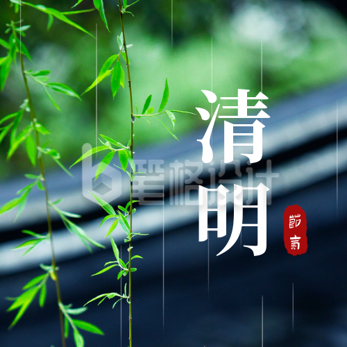 清明缅怀故人雨景公众号次图