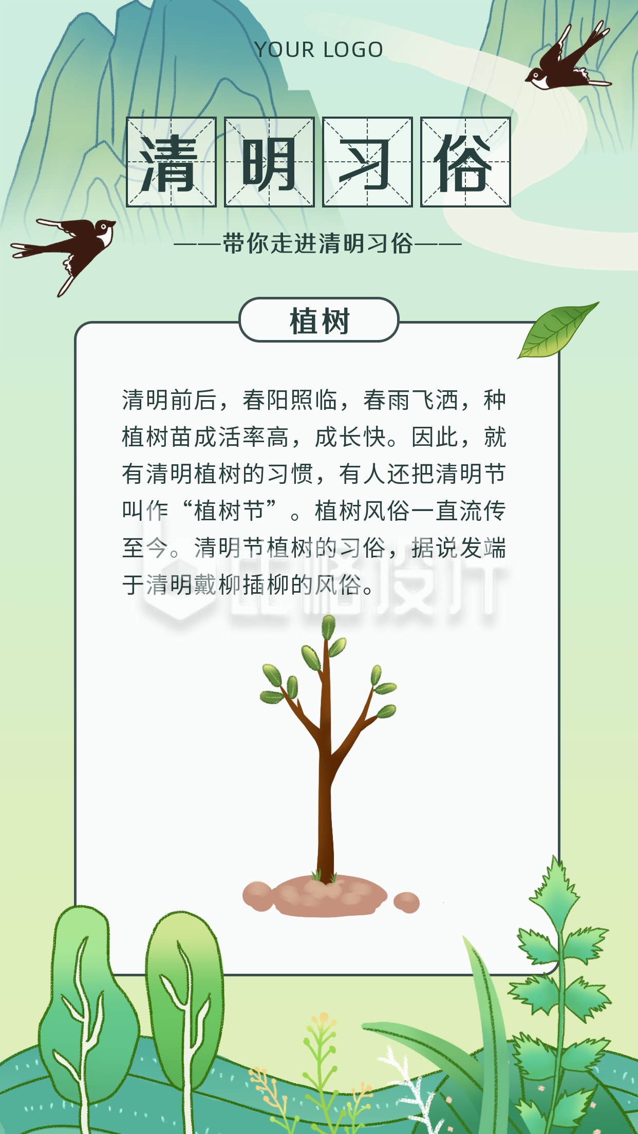 清明节植树习俗科普手绘清新手机海报
