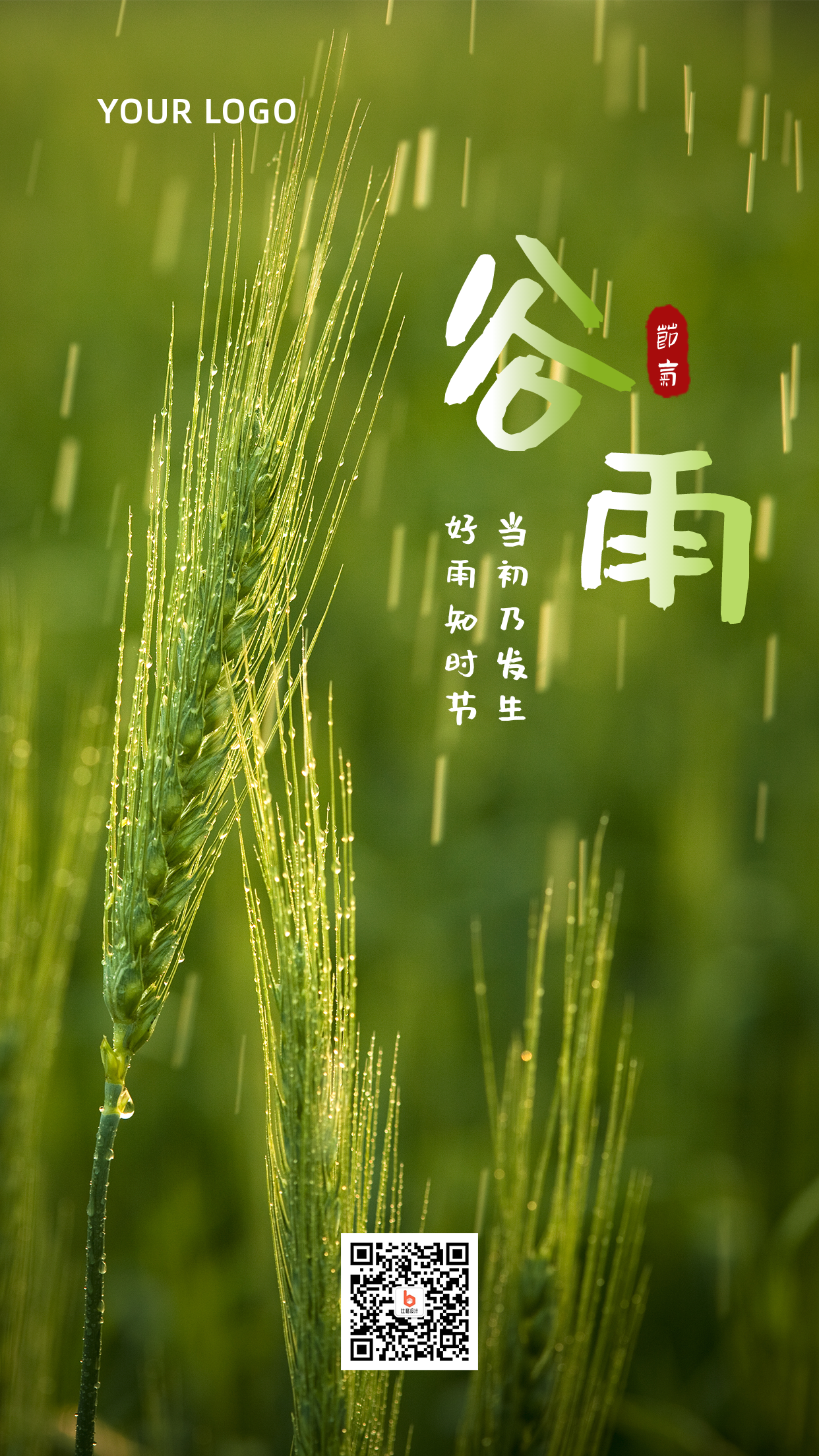 谷雨节气实景麦穗问候祝福手机海报
