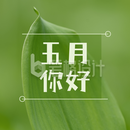 5月你好早安问候清新绿叶实景公众号次图