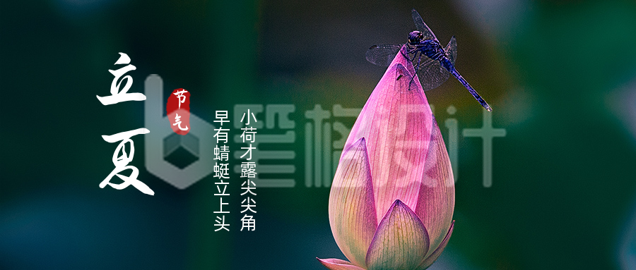 问候祝福实景荷花二十四节气立夏公众号封面首图