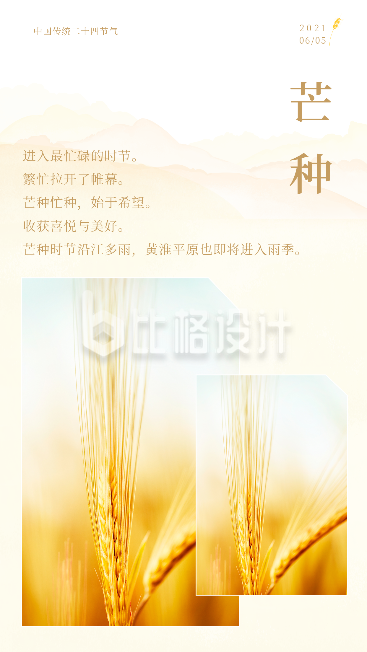 黄色简约中国传统节气芒种竖版配图