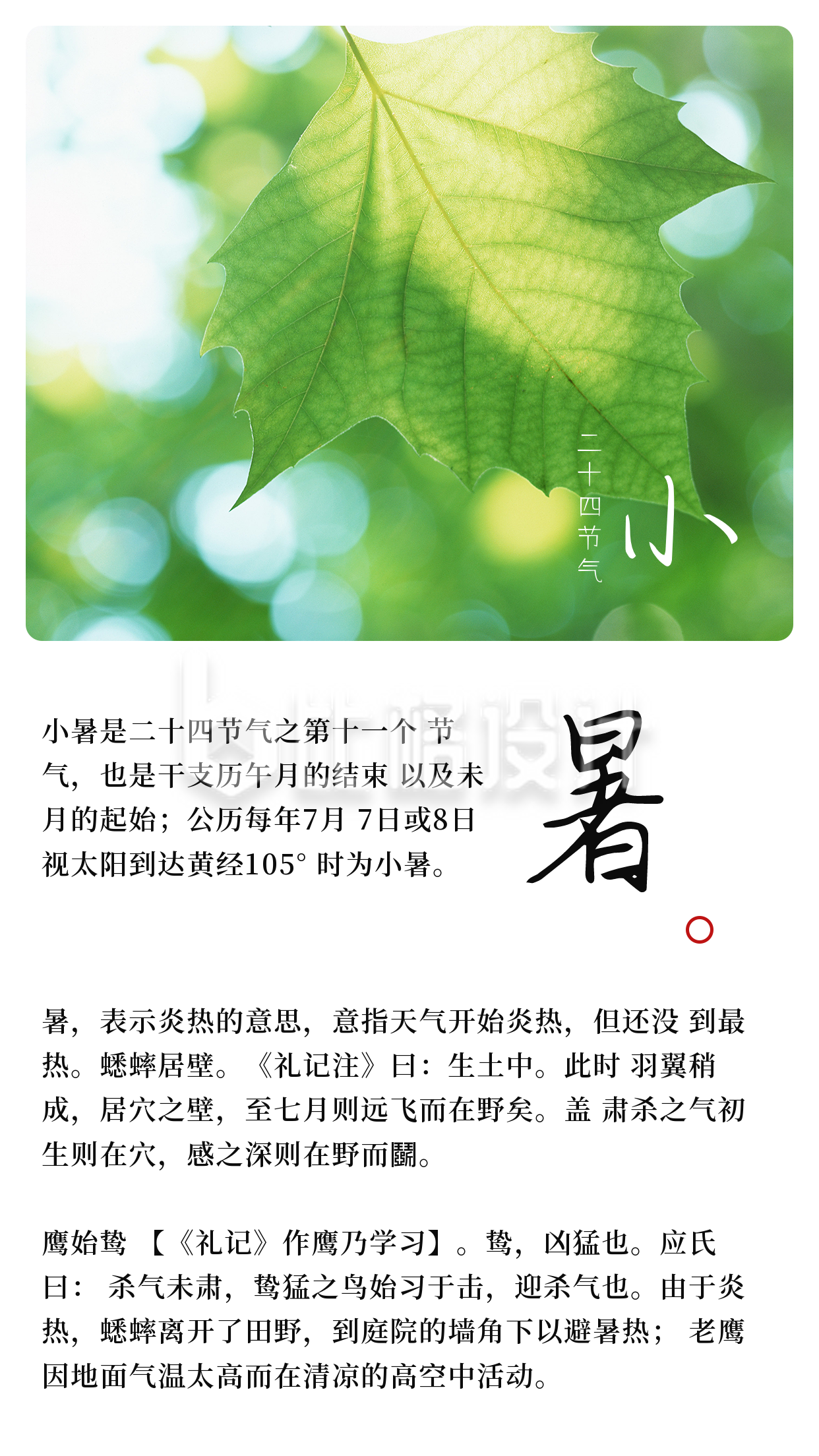 中国传统二十四节气小暑竖版配图