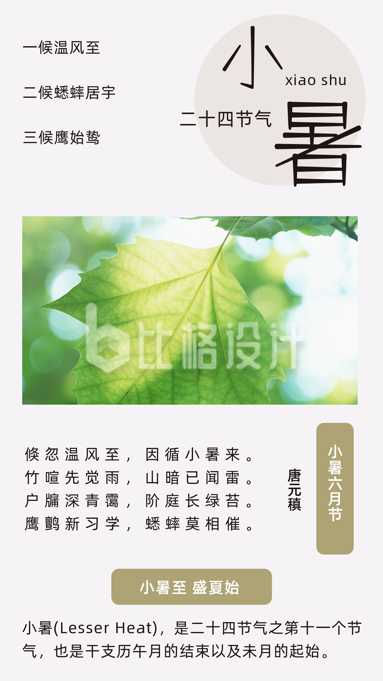 文艺中国传统二十四节气小暑竖版配图